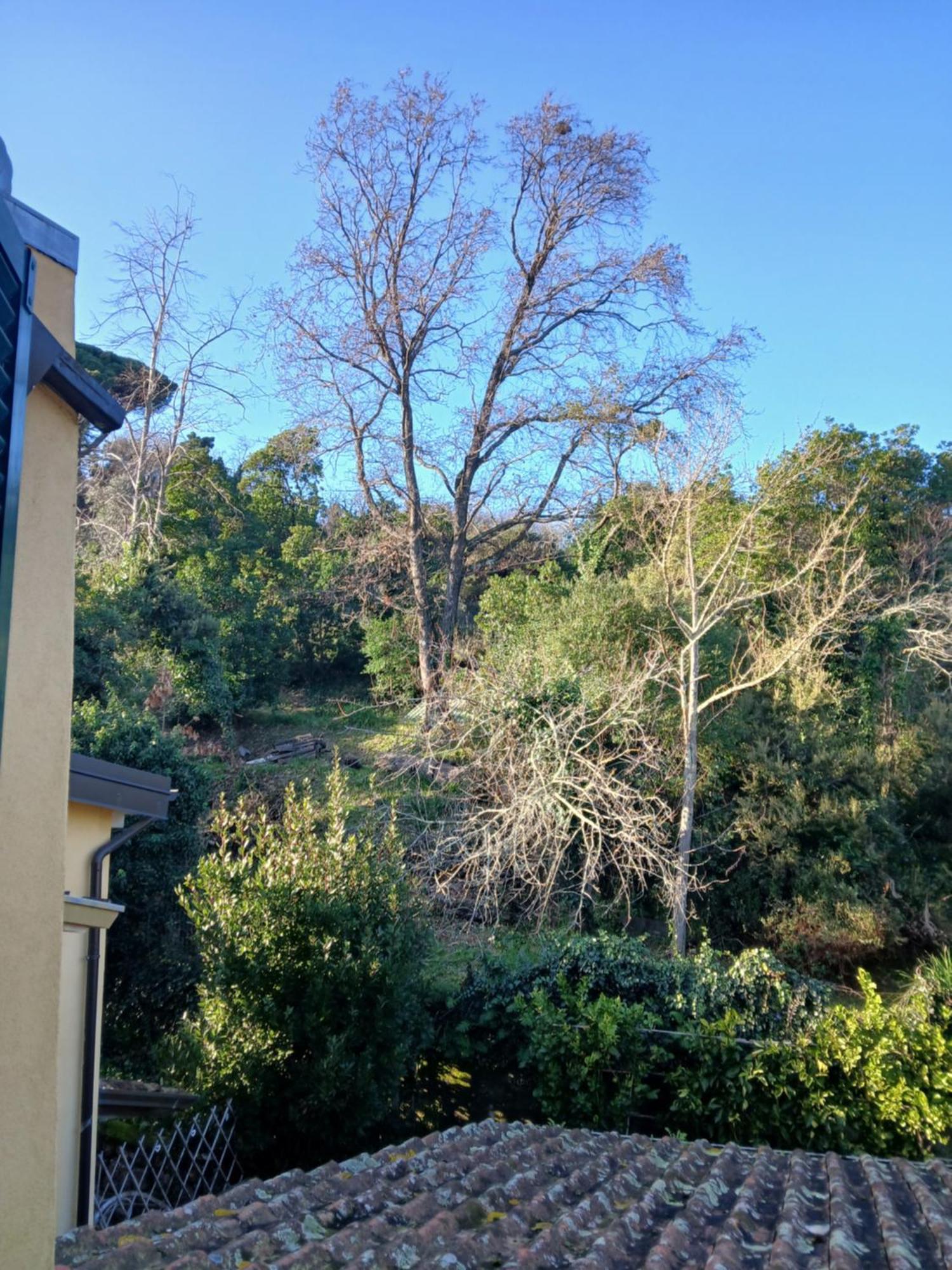 Casa Misha Tra 5 Terre E Versilia Bocca di Magra المظهر الخارجي الصورة